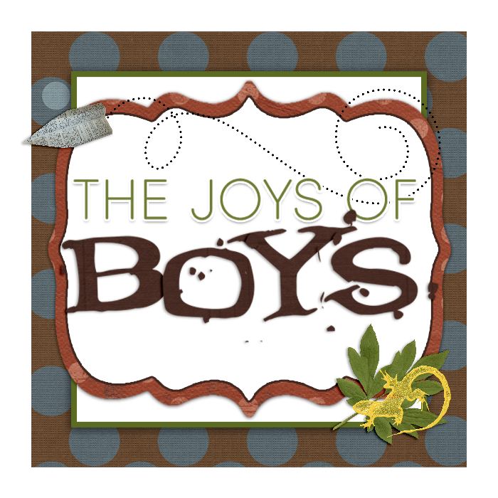 The Joys of Boys
