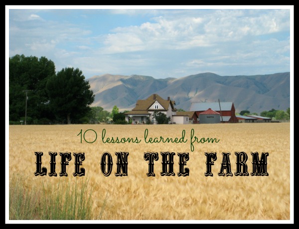 life on the farm