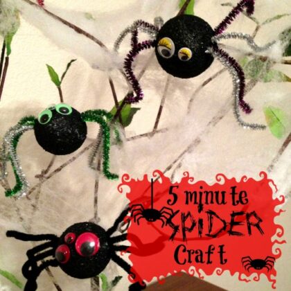 Spider Craft