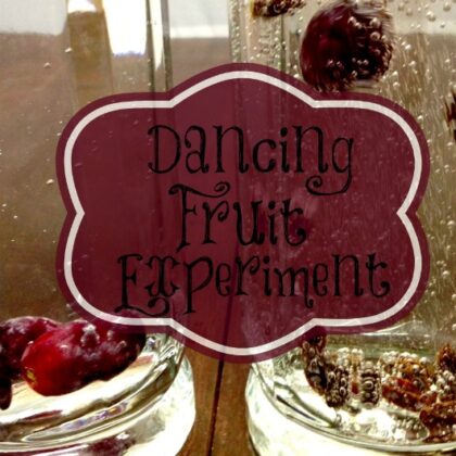 Dancing Fruit Experiment
