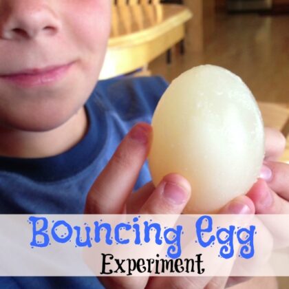 Bouncing Egg Experiment