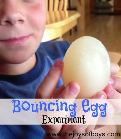 Bouncy Egg Science Experiment Step (4)