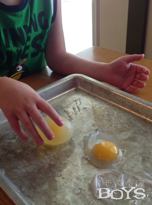 bouncing egg experiment