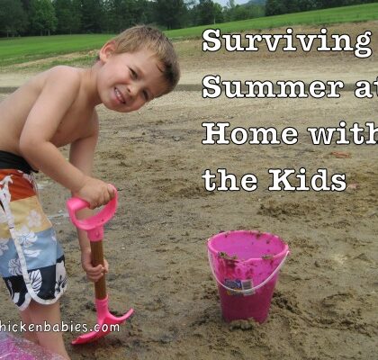 Surviving Summer