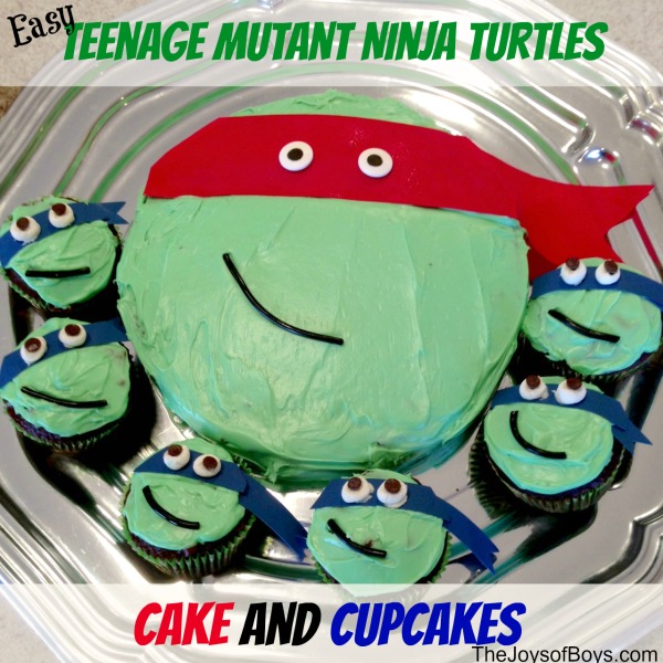 Diy Ninja Turtles  CakeCentralcom