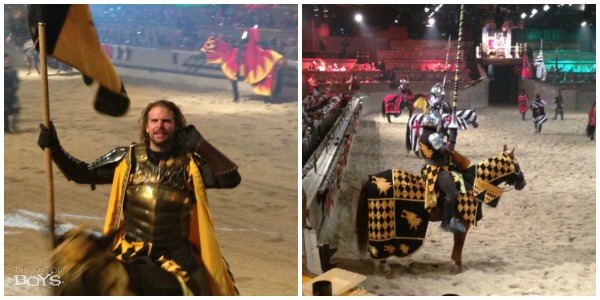 Medieval Times Knight