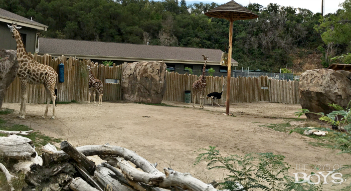 Utah's Hogle Zoo