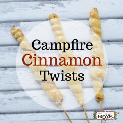 Campfire Cinnamon Twists