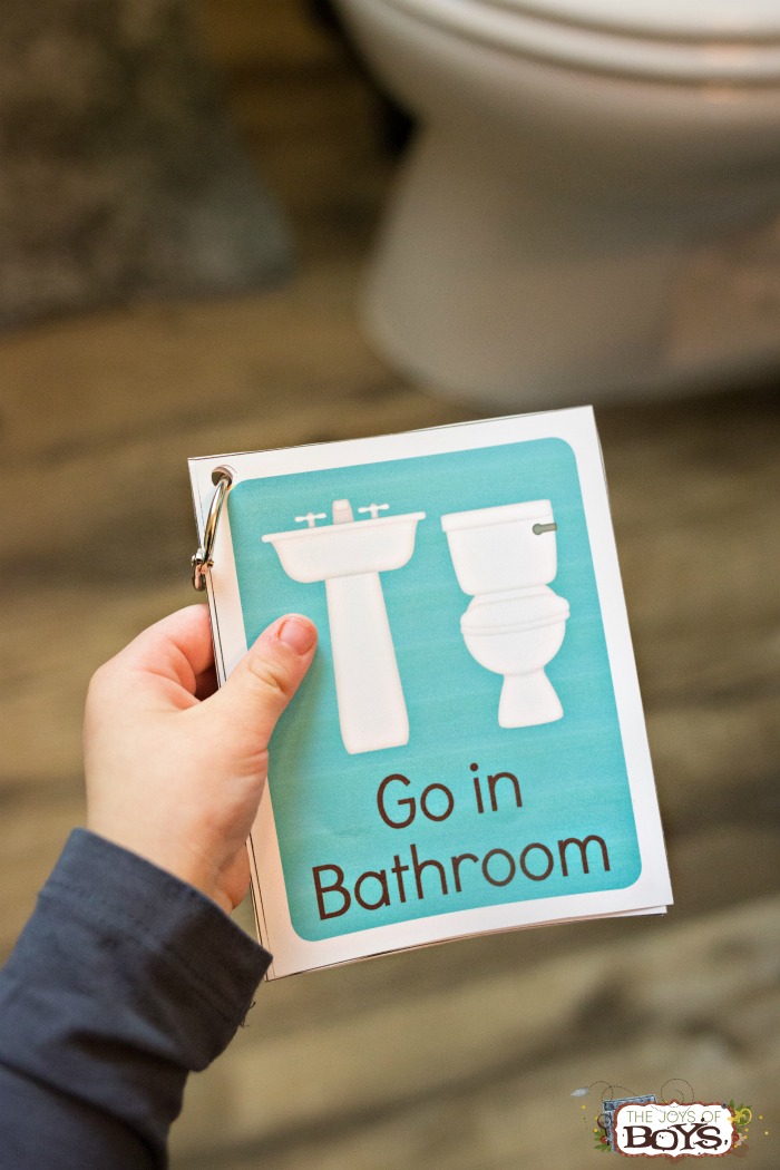Potty Training Cards Visual Schedule
