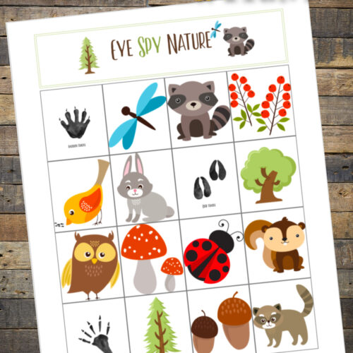 This Nature Scavenger Hunt is a fun way to get kids to be observant while out in nature. Take it camping or on your next hike.