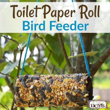 DIY Bird feeder made from a toilet paper roll, peanut butter and seeds. Hung in a tree with yarn.